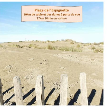 Suite Thalassa 1Ere Ligne Plages Du Couchant Wifi - Rossiconciergerie - Linge Inclus La Grande Motte Bagian luar foto