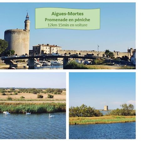 Suite Thalassa 1Ere Ligne Plages Du Couchant Wifi - Rossiconciergerie - Linge Inclus La Grande Motte Bagian luar foto