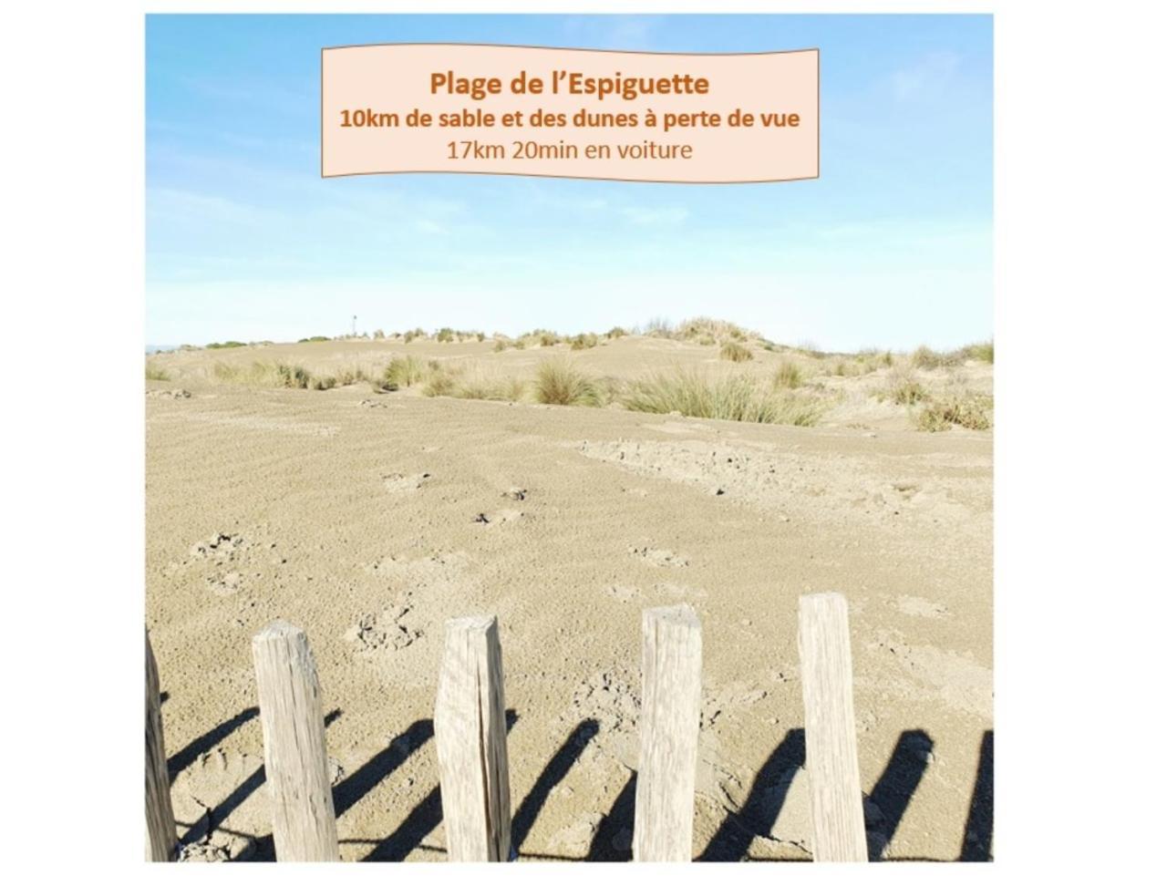 Suite Thalassa 1Ere Ligne Plages Du Couchant Wifi - Rossiconciergerie - Linge Inclus La Grande Motte Bagian luar foto