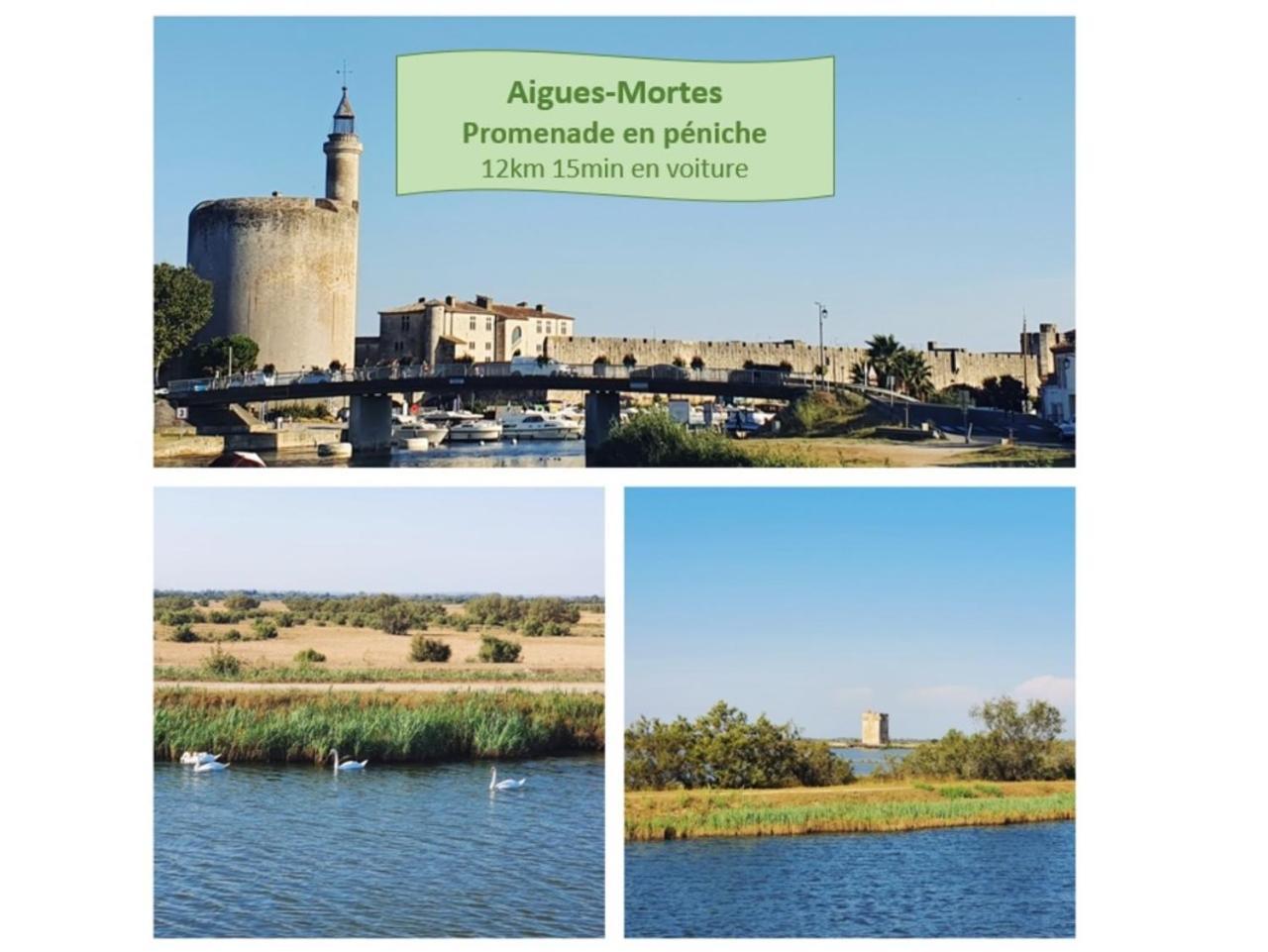 Suite Thalassa 1Ere Ligne Plages Du Couchant Wifi - Rossiconciergerie - Linge Inclus La Grande Motte Bagian luar foto
